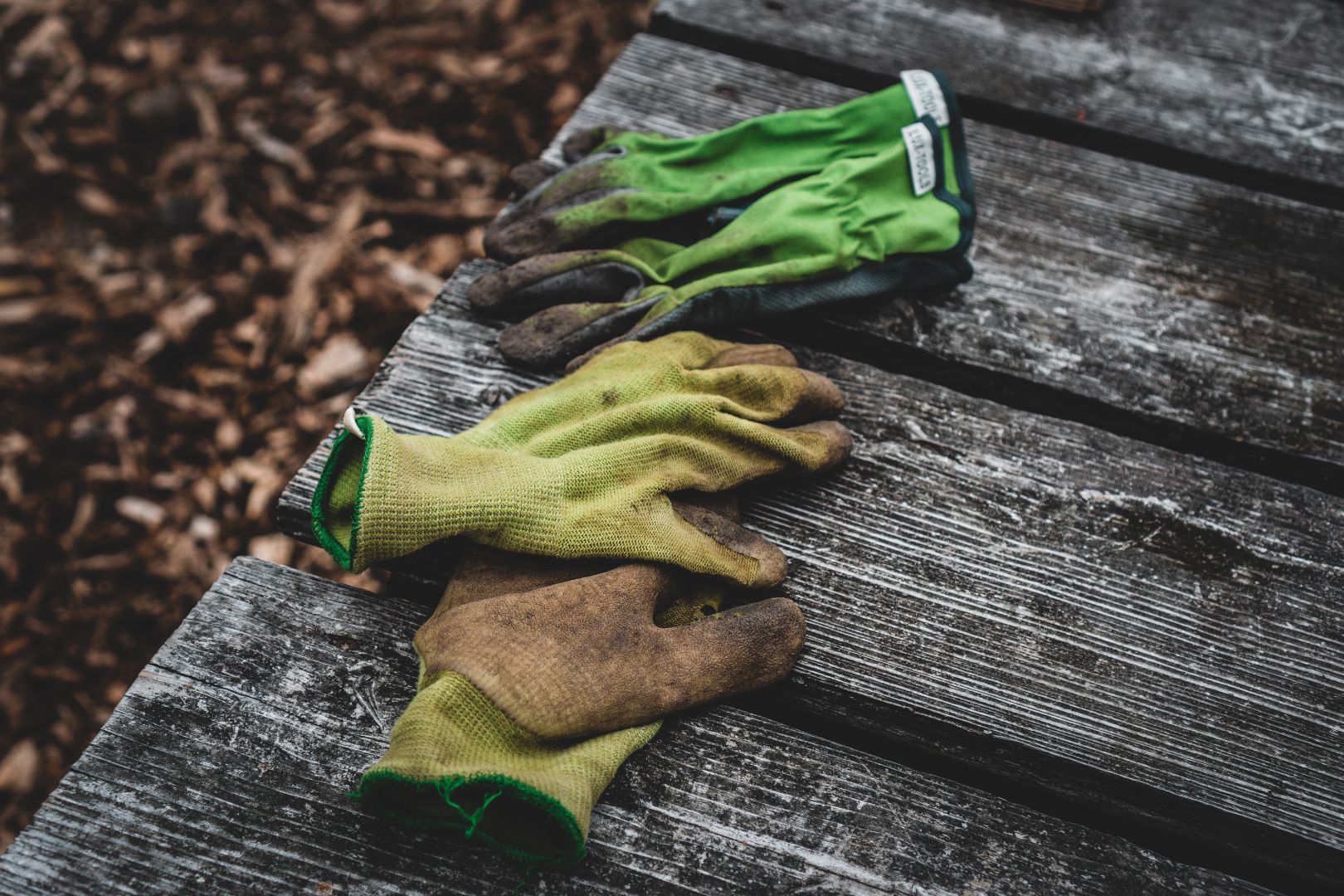 Help jij graag in de tuin? Word tuinvrijwilliger in Dijk en Waard!
