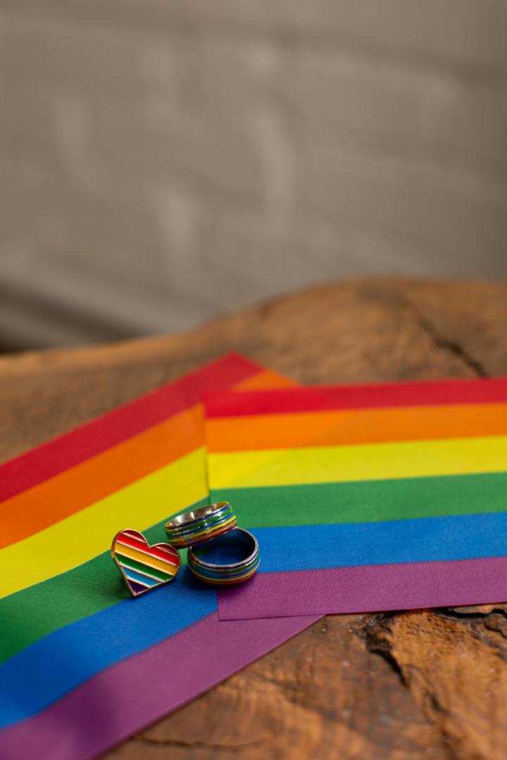 Bijeenkomst van het Regenboognetwerk Hollands Kroon zondag 26 januari 2025 